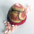 Figtrio 3