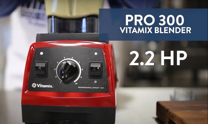 Vitamix Pro 300 Maintenance